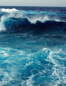 Обучение графическим программам Adobe Photoshop и CorelDRAW #1250832