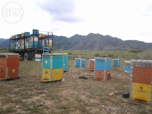 Нужен помощник (можно семейную пару)! #1253508