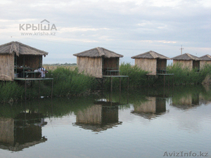 Рыбалка в Алматы #1244476