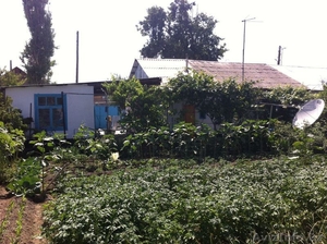 Дом(особняк на 2 хозяина) #1250524