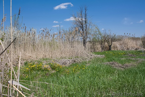 Продам два дачных участка по 6 соток. #1254430