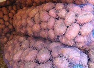 Картофель высшего качества #1254037