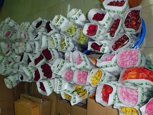 Цветы из Эквадора, купить розу недорого #1257414