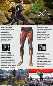 BISON. Купить шорты,  леггинсы,  бриджи,  спортивные шорты и лосины для бега #1249542