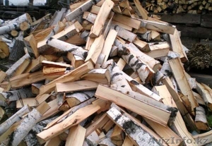 дрова березовые сухие  рубленные #1254177