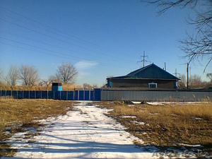 Дом Магазин Комплекс КХО #1247397