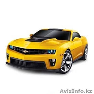 СРОЧНО требуется представитель в г. Кокшетау  #1251469