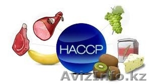 Разработка и внедрение HACCP #1243546