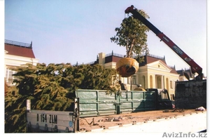 Дизайн Ландшафта и озеленение #1250444