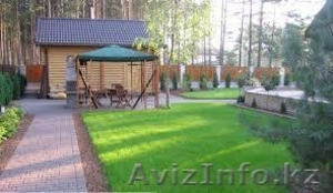 Посев газонов,  посадка живой изгороди,  из туи,  карагача,  посадка деревьев,  куста #1251243