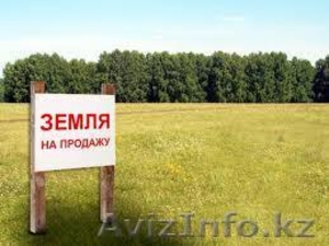 Продам участок 55 га в Тюменской Области #1256045