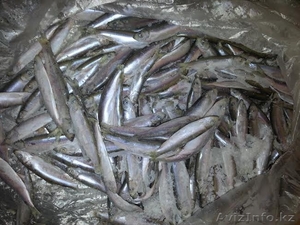 Рыба мороженая с доставкой #1250993