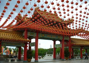 Шоп тур в Урумчи #1250329