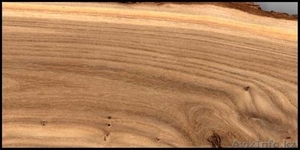 Карагач массив обрезной сухой 6-8% 30 мм. сорт 0-1 #1264943