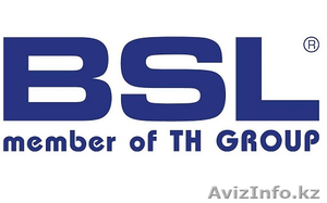 Запчасти к грузовому транспорту европейского производства BSL (Польша) #1263071