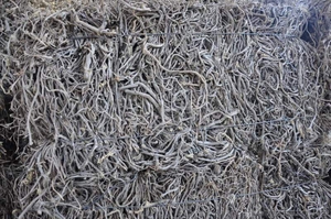 Корнья солодки  