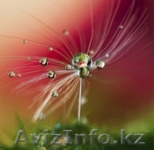  Восстановление и похудение. Индивидуальный подход. #1263609