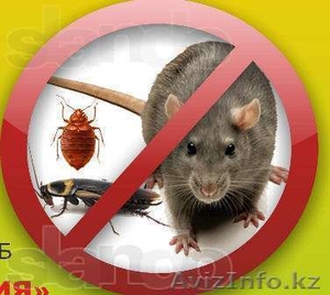 Дезинфекция и дератизация квартир и офисов. Недорого #1268645