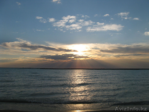 Сдается домик у озера Балхаш #1263162