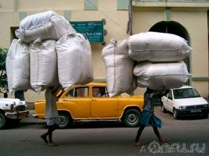 Услуги Наёмных Грузчиков С Ремнями  #1261312