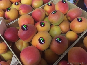 продаем абрикос #1270812