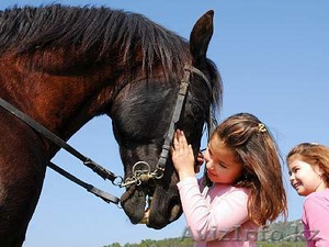 Ковбойский лагерь для детей в Кемере #1270542