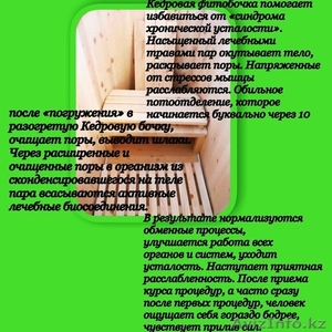 Кедровая Фито бочка  #1268628