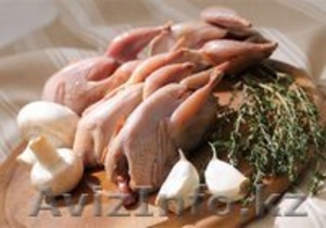 Перепела,  продам #1270758