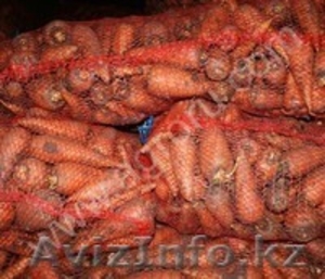 Морковь оптом (лом)  #1280154