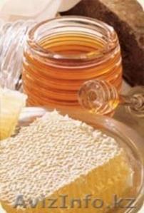 Курсы пчеловода он-лайн #1270239