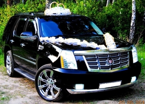 Объявление прокат автомобиля #1279005