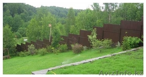 Озеленение участка. #1279897