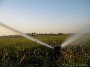 Полив озеленение газон брусчатка освещение #1276086