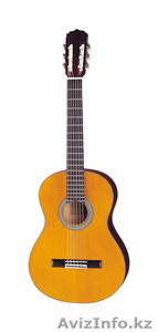 Гитарист,  мелодии и песни #1282706