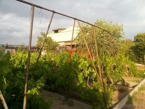 Сдаётся дача по суточно,  район Барковского возле озера.  #655770