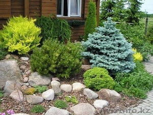 Ландшафтные работы #1275336