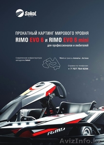 Прокатный Картинга #1272171