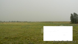 Продам земельный участок 7.7 га #1294854