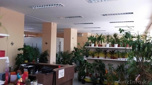 Аренда помещения 250 кв.м. Пушкина/Маметовой #1284037