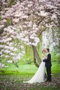 Фотографирую Свадьбы #1290612