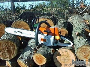 Спил и обрезка аварийных деревьев в Алматы #1295531