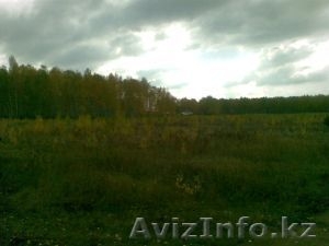  Земля 15, 3 ГА около Челябинска. #1196390