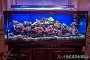 Аквариумы на заказ и готовые #1284557