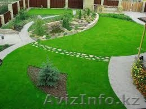 чернозем,  газон #1295177