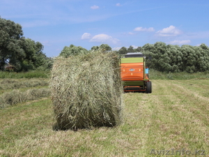 Продам сено в круглых тюках. #1290831