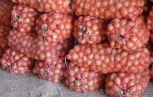 Компания АгроХимПром KZ реализует овощи оптом . #1287716