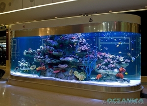 Рыбки,  аквариумы морские и пресноводные #1284553