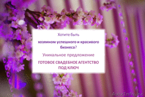 Свадебный бизнес под ключ #1288944