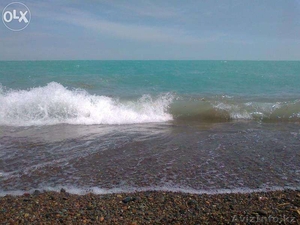 Дачный отдых на Балхаше!  #1288182