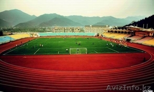 Перспективное образование в Китае по доступной цене #1288897